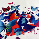 Camiseta Feminina Branca Coração Borboletas