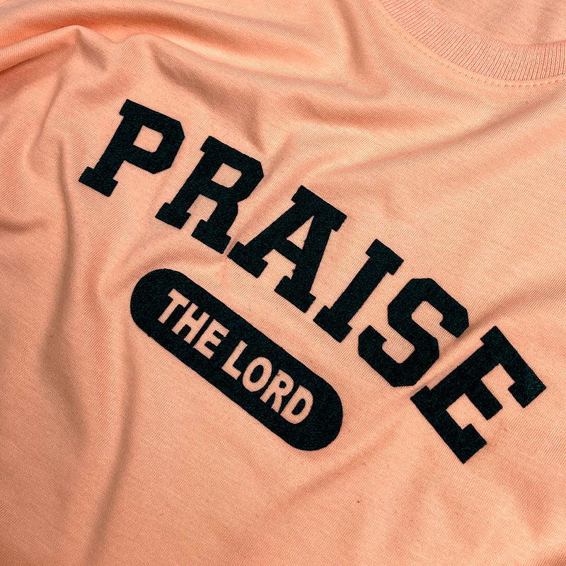 Camiseta Feminina Salmão Praise The Lord