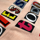 Camiseta Feminina Salmão Blessed Todo Dia