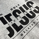 Camiseta Masculina Cinza Holy Jesus Lives In