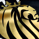 Camiseta Masculina Preta Leão Yeshua