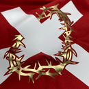 Camiseta Masculina Vermelha Cruz Espinhos