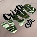 Camiseta Feminina Salmão Cristo Vivo Está