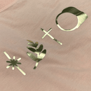 Camiseta Feminina Salmão Raminho